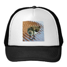Sandpiper at the Beach Mesh Hats