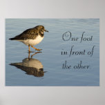 Sandpiper bird motivational Poster