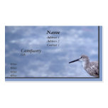 Sandpiper business cards