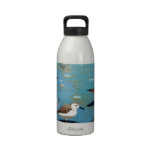 Sandpiper IV Reusable Water Bottles