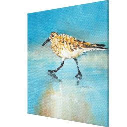 Sandpiper North American Wading Shorebird Canvas Zazzle