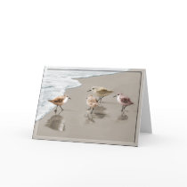 Sandpipers at the Shoreline Card