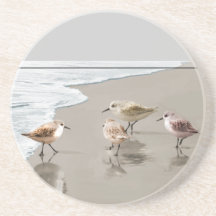 Sandpipers at the Shoreline Coaster