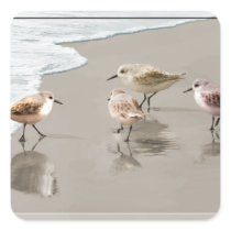 Sandpipers at the Shoreline Square Stickers