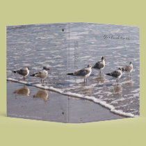 Sandpipers binders