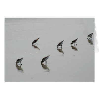 Sandpipers Greeting Card by LadyDenise