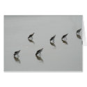 Sandpipers cards by LadyDenise Sandpipers cards