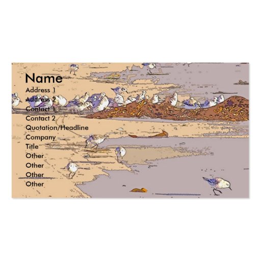 Sandpipers Digital Business Card (front side)