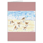 Sandpipers on Old Orchard Beach cards