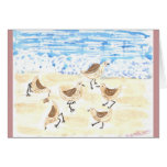 Sandpipers on Old Orchard Beach cards