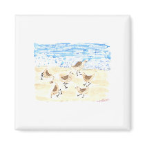Sandpipers on Old Orchard Beach magnets