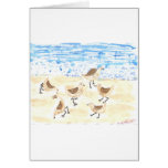 Sandpipers on Old Orchard Beach, Maine cards