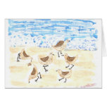 Sandpipers on Old Orchard Beach, Maine cards