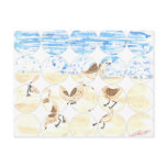 Sandpipers on Old Orchard Beach, Maine postcards
