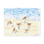Sandpipers on Old Orchard Beach, Maine postcards