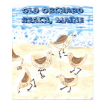 Sandpipers on Old Orchard Beach, Maine posters by pidgiefund Sandpipers on Old Orchard Beach, Maine posters