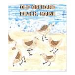 Sandpipers on Old Orchard Beach, Maine posters