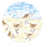 Sandpipers on Old Orchard Beach, Maine stickers