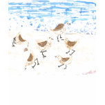 Sandpipers on Old Orchard Beach, Maine Sandpipers on Old Orchard Beach, Maine