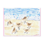 Sandpipers on Old Orchard Beach postcards