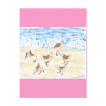 Sandpipers on Old Orchard Beach postcards