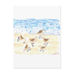 Sandpipers on Old Orchard Beach postcards