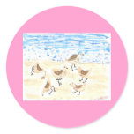 Sandpipers on Old Orchard Beach stickers