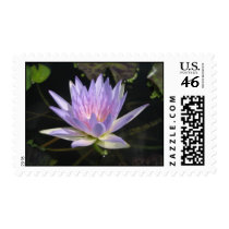 Sandra Lynn postage