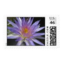 Sandra Lynn stamps