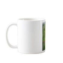 Sands of Now mugs