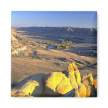 Sandstone boulders, Alberta, Canada Fridge Magnet