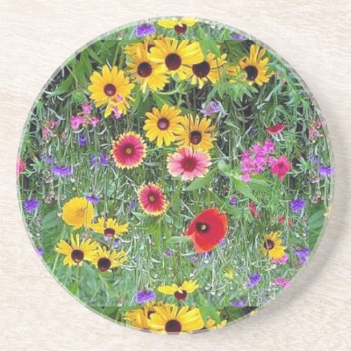 Sandstone Drink coasters Zazzle