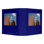 Sandstone Fins binders