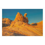 Sandstone Formations At The White Pocket 3 Wood Canvas