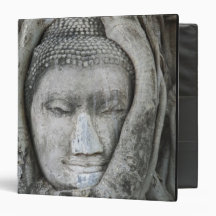 Sandstone head of Buddha surrounded by tree Binders