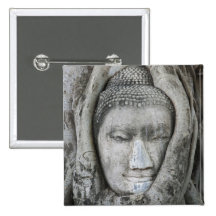 Sandstone head of Buddha surrounded by tree Pinback Buttons