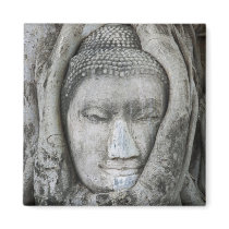 Sandstone head of Buddha surrounded by tree Refrigerator Magnets