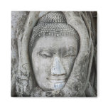Sandstone head of Buddha surrounded by tree Refrigerator Magnets