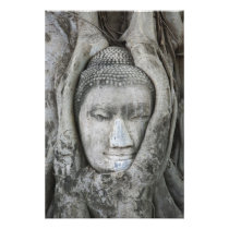 Sandstone head of Buddha surrounded by tree