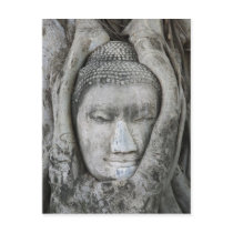 Sandstone head of Buddha surrounded by tree Post Cards