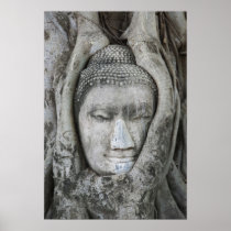 Sandstone head of Buddha surrounded by tree