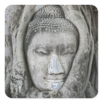 Sandstone head of Buddha surrounded by tree Square Stickers