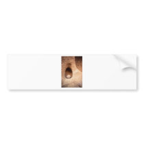 Sandstone Still Life Bumper Sticker