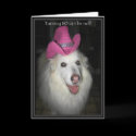 *Sandy - 80th Birthday cards