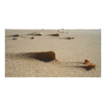 Sandy beach photo card template