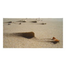 Sandy beach