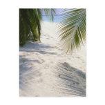Sandy Beach postcards