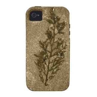 Sandy Beach Textures Case-Mate iPhone 4 Covers