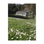 Sandy Cr. Covered Bridge postcards
