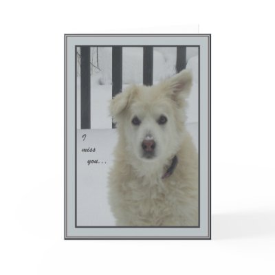 *Sandy Dog - I Miss You Card by _Carol_. *Sandymy Collie/Husky mix misses 